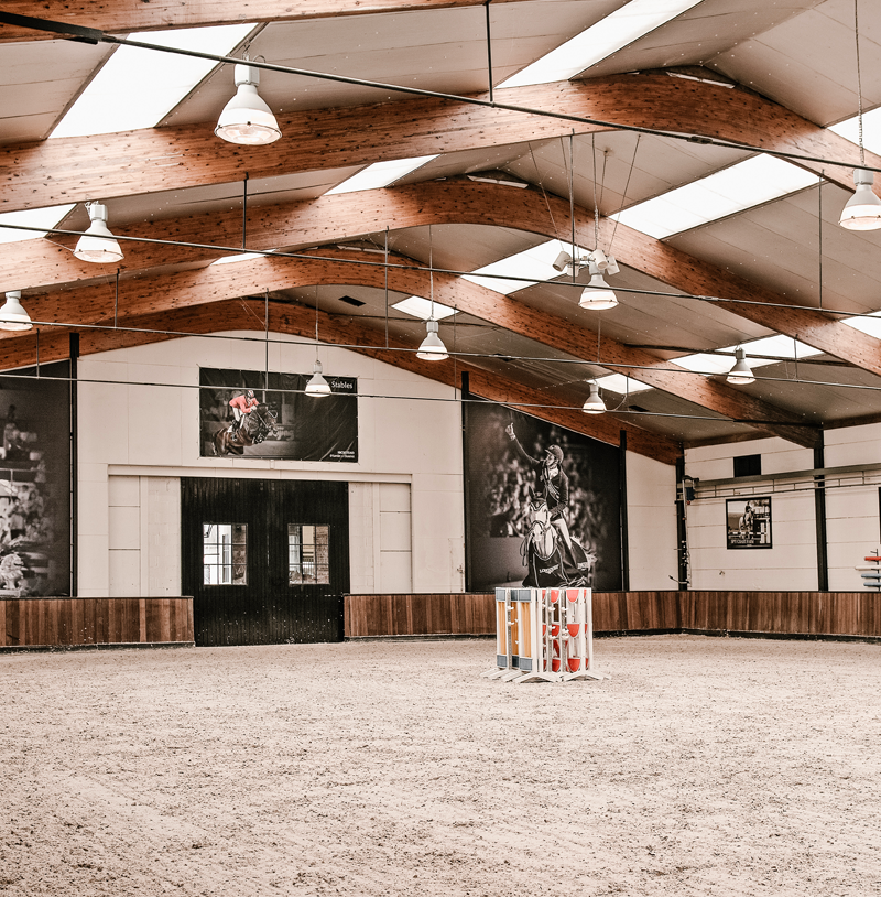 3 Jumping Exercises For Small Arenas horseXperiences™ Stories