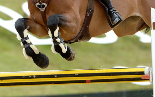 Close-up of a horse folding its forelegs over a show jumping fence