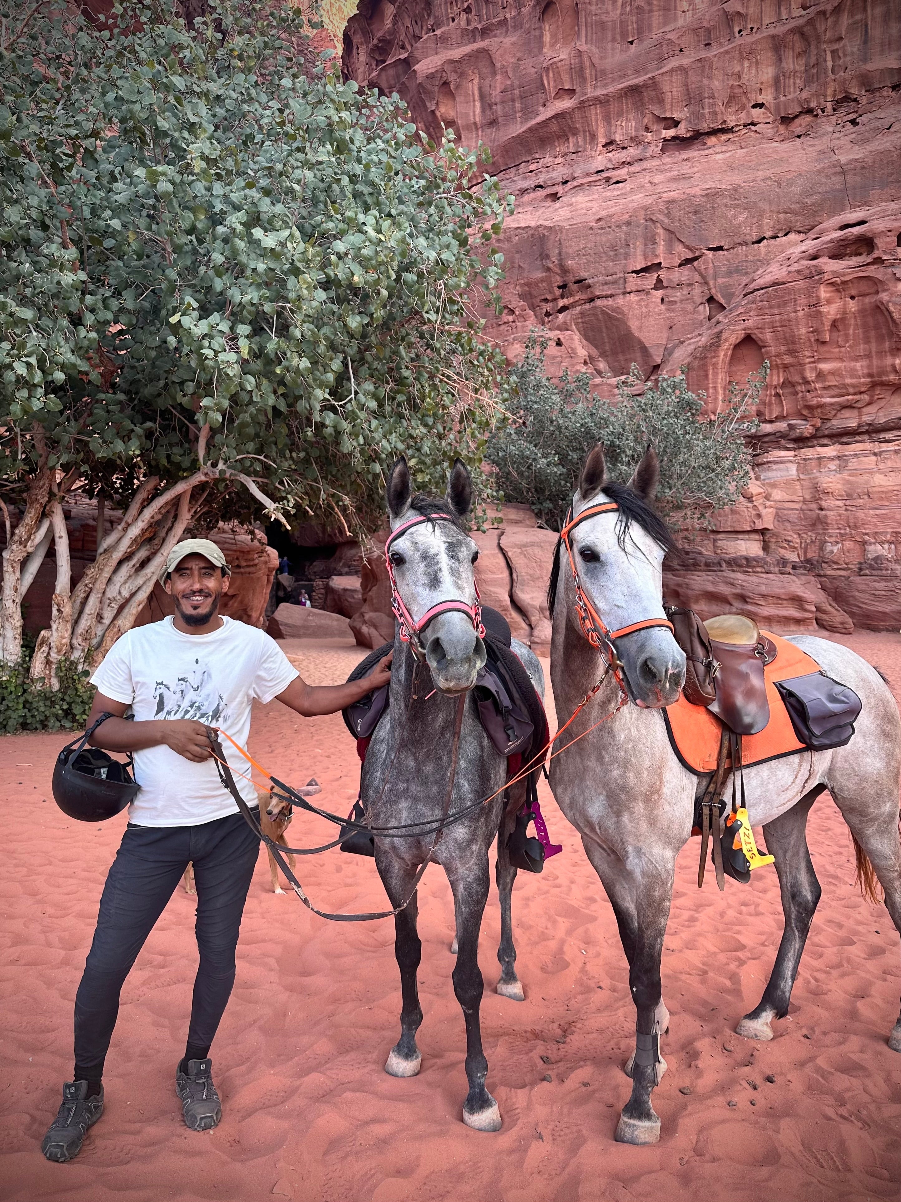 Petra, Rose Desert & Arabian Sands