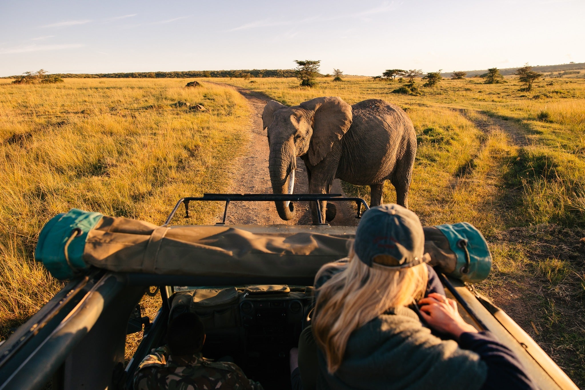 Africa's Big 5 Safari - Image 1