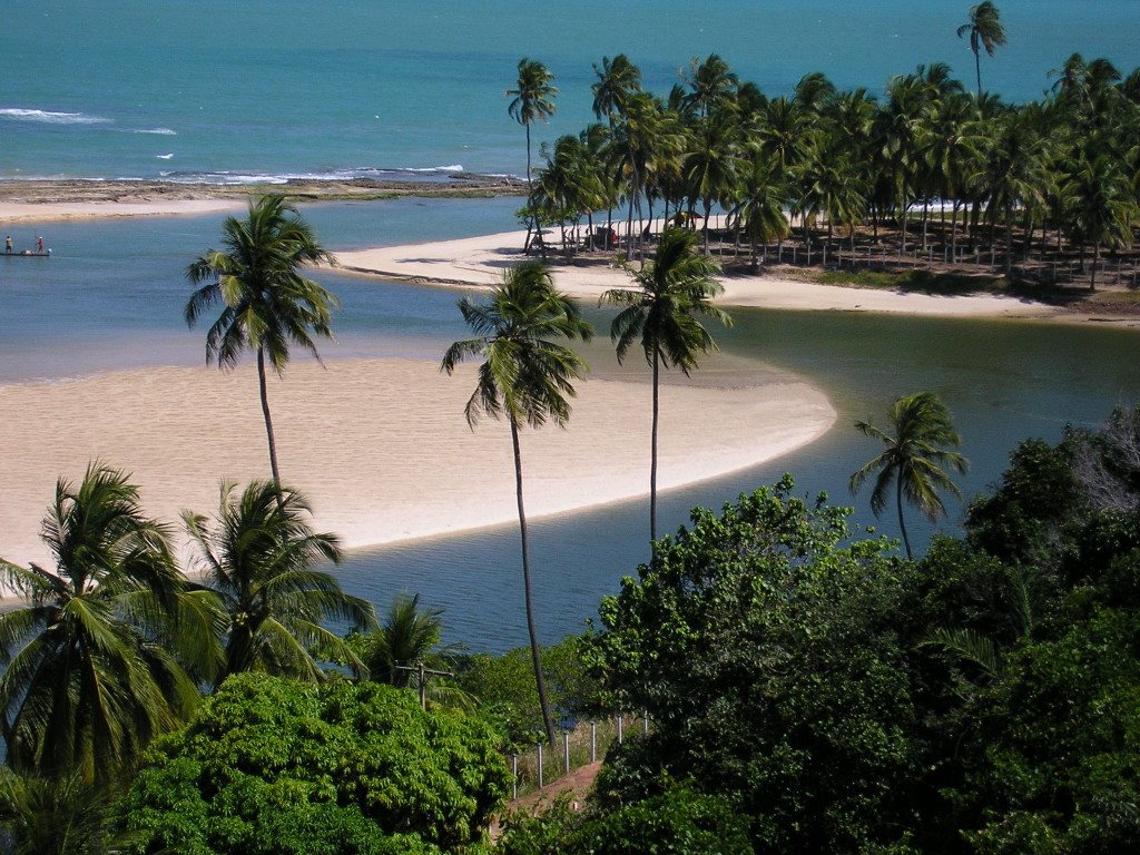 Coconut Trail Ride - horseXperiences™ GO EQUESTRIAN