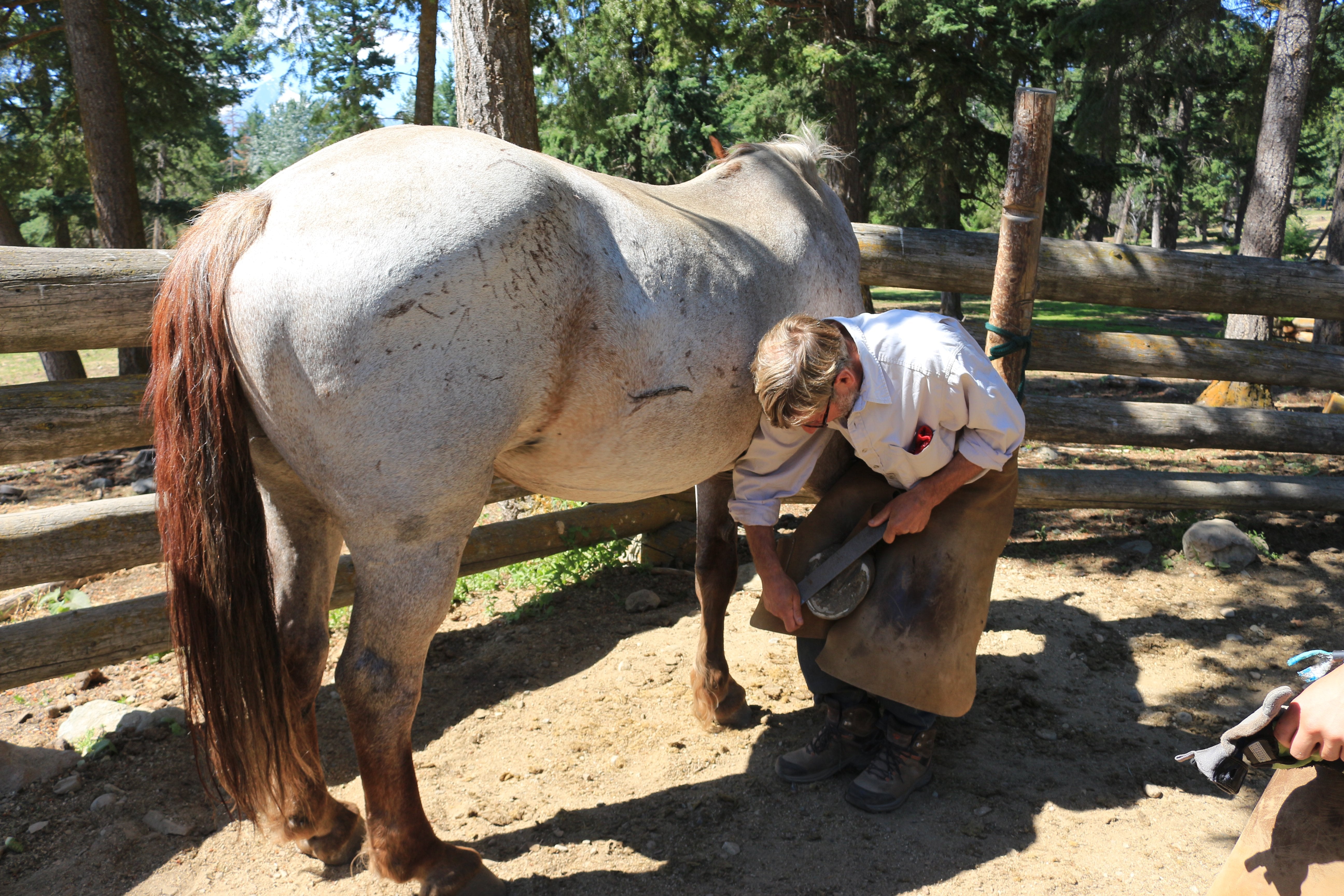 Pure Ranch eXperience - horseXperiences™ GO EQUESTRIAN