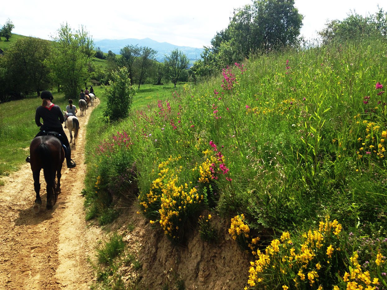 Countryside & Wilderness Xperience horse riding holiday in Romania