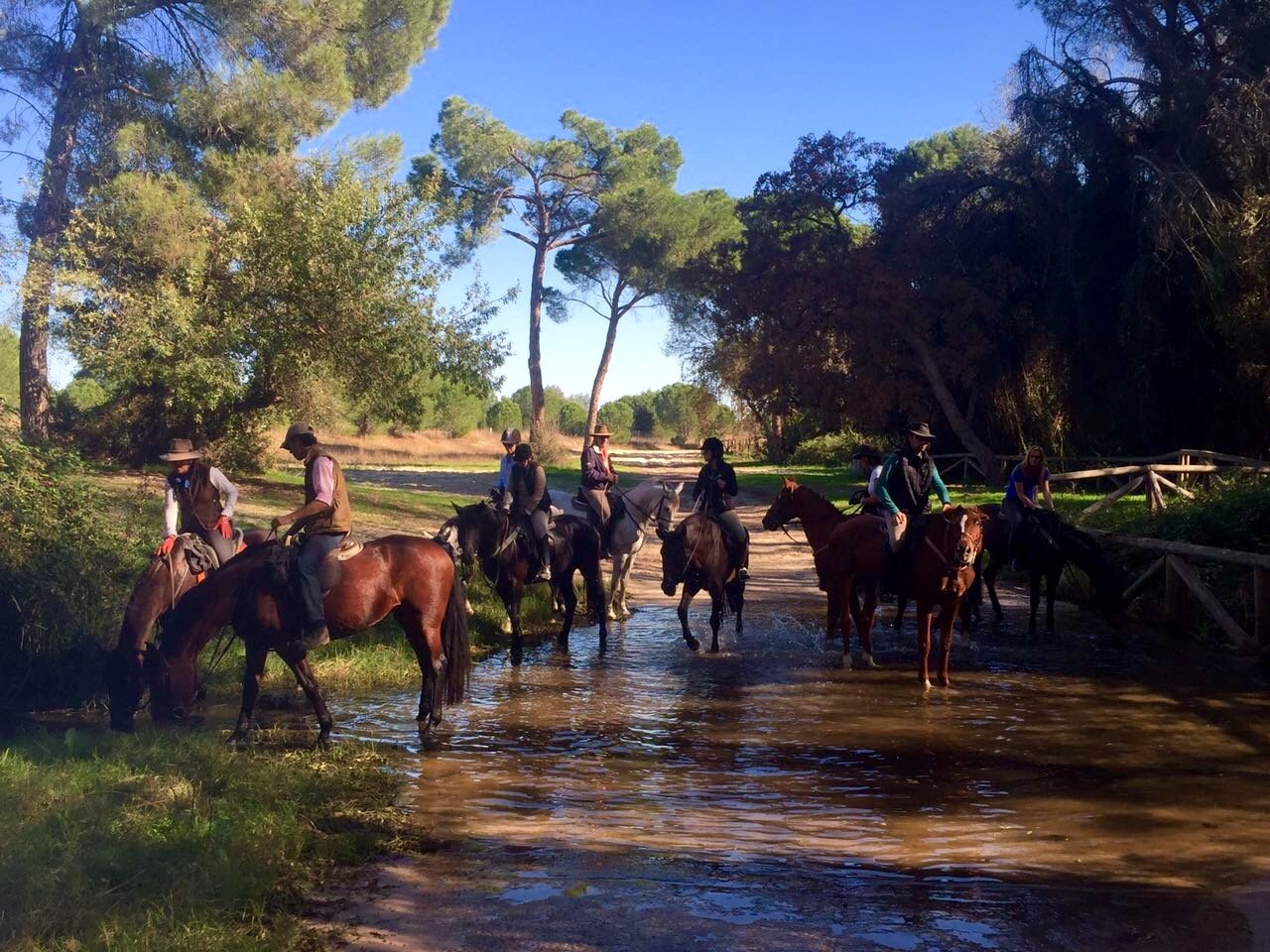 The Taste of Andalucia horse riding holiday in Spain
