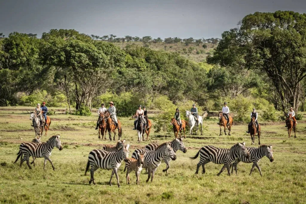 Africa's Big 5 Safari