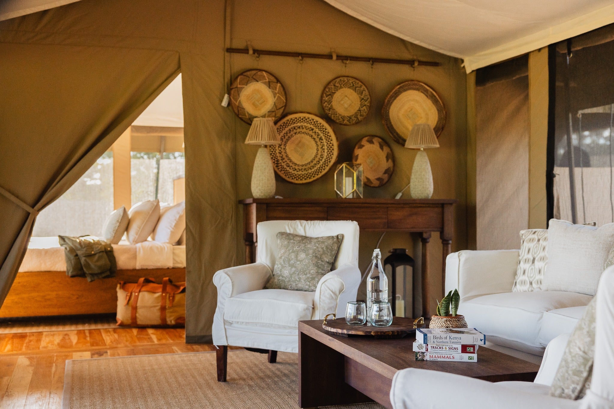 Africa's Big 5 Safari