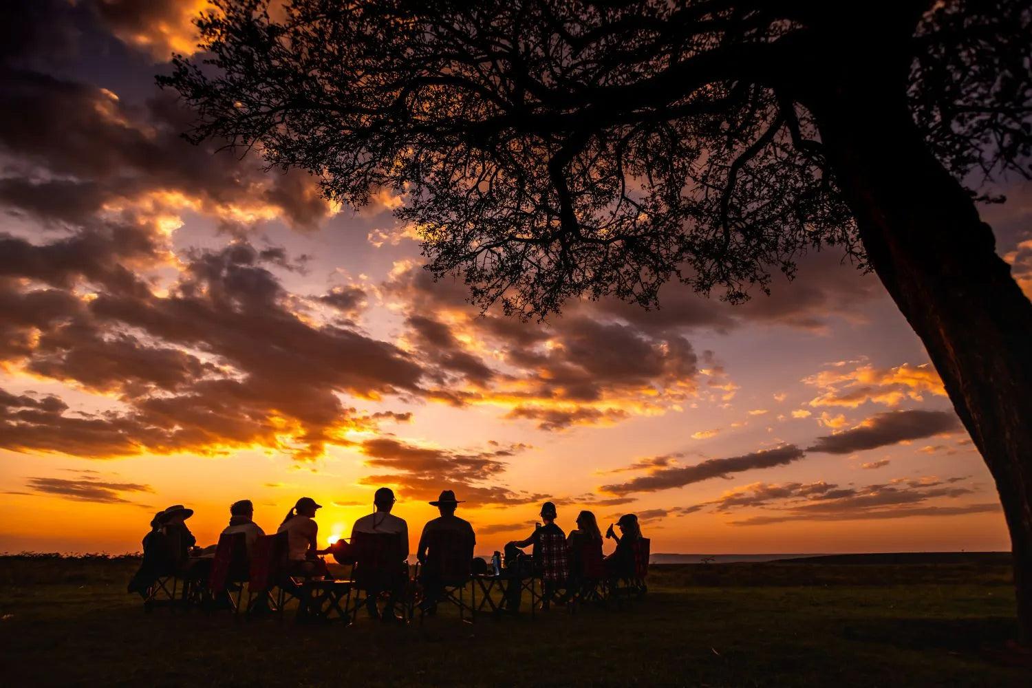 Africa's Big 5 Safari