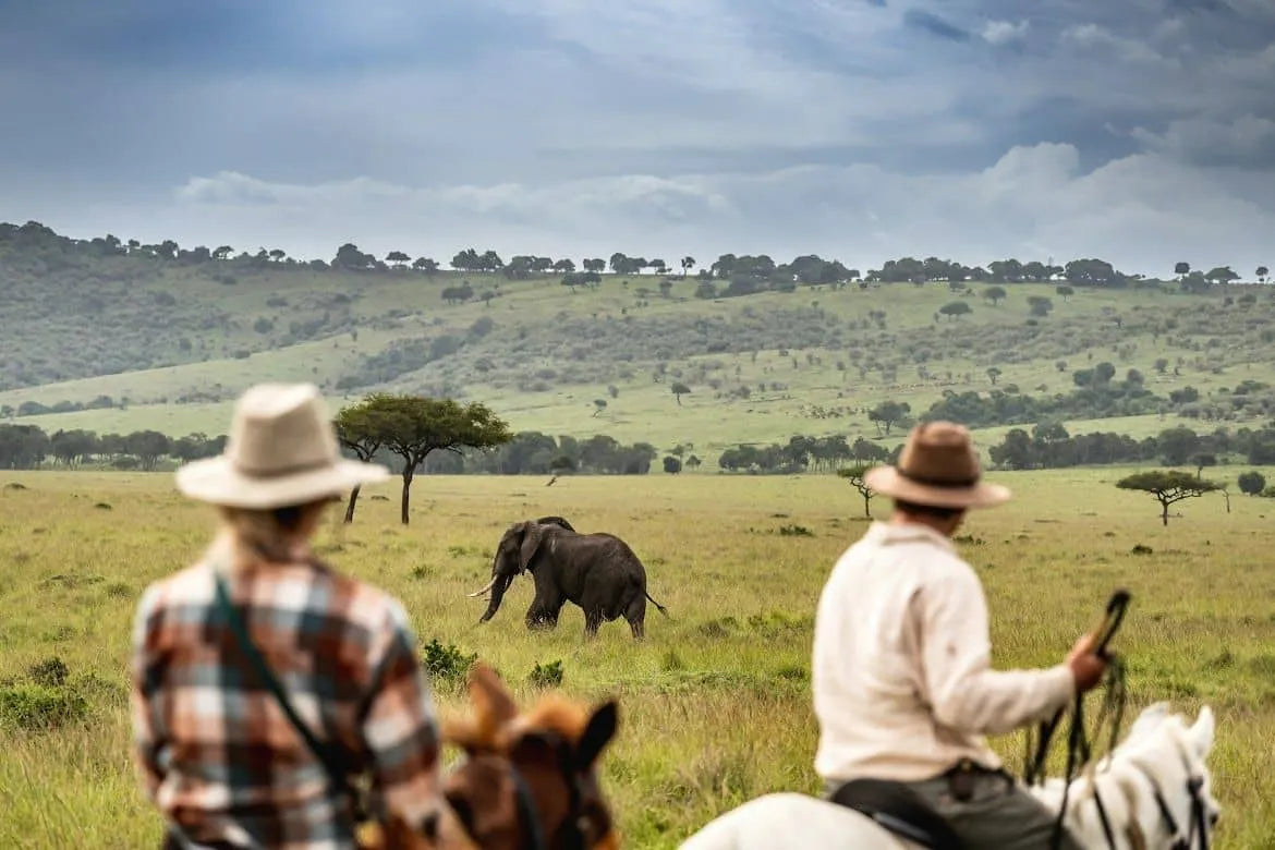 Africa's Big 5 Safari