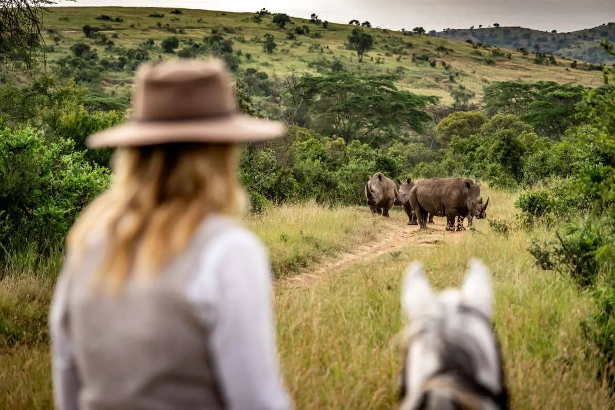 Africa's Big 5 Safari