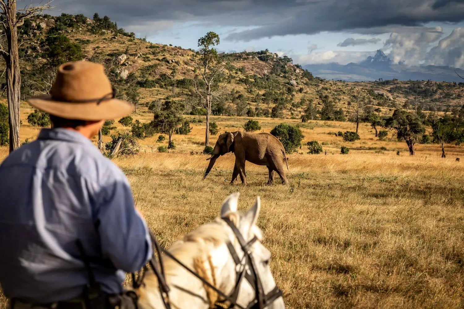 Africa's Big 5 Safari