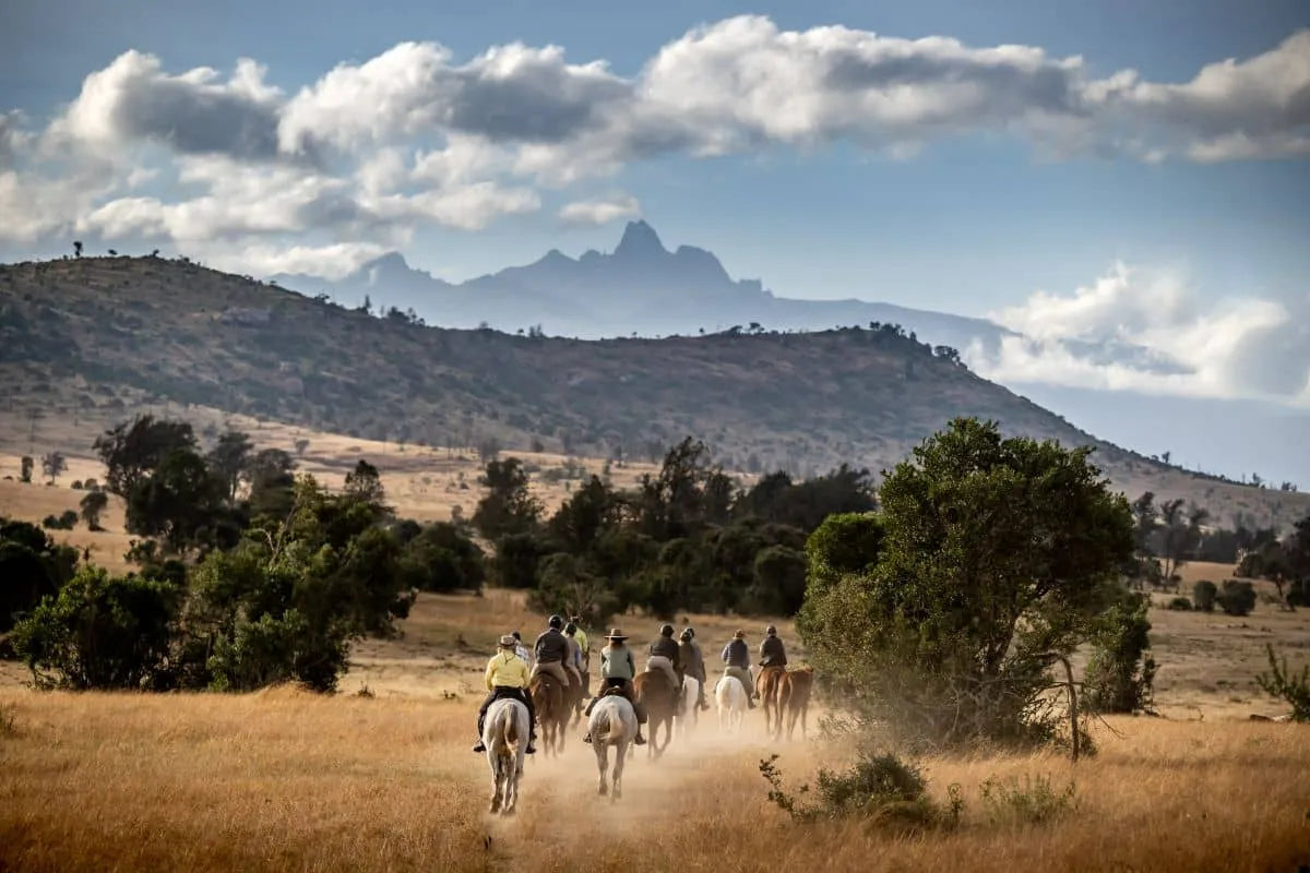 Africa's Big 5 Safari