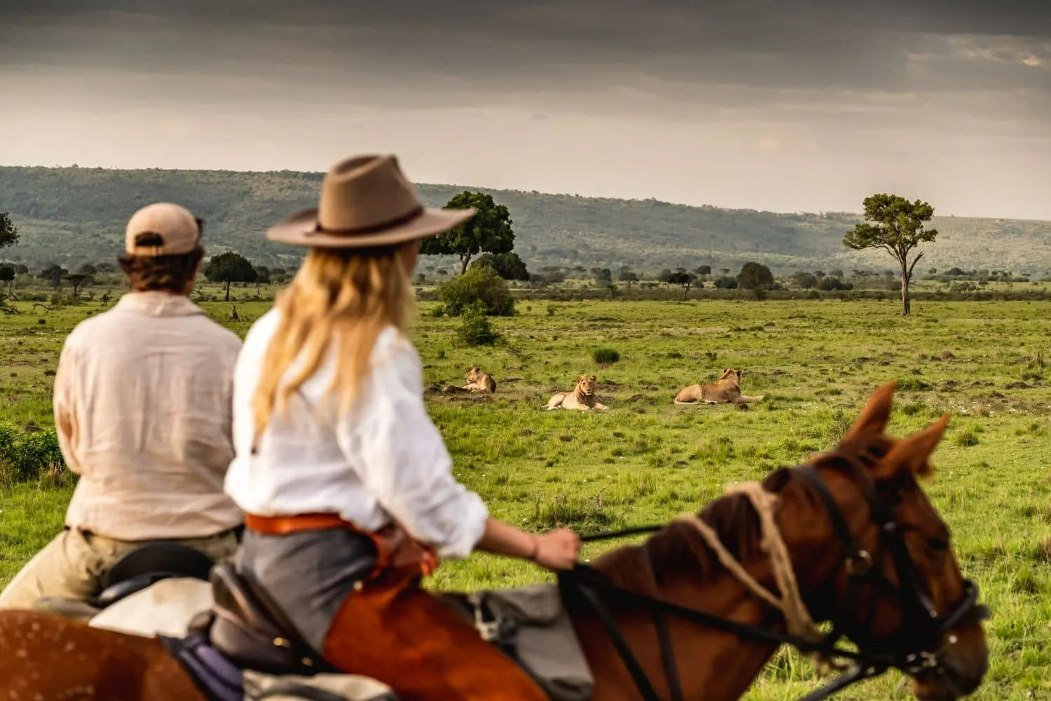 Africa's Big 5 Safari