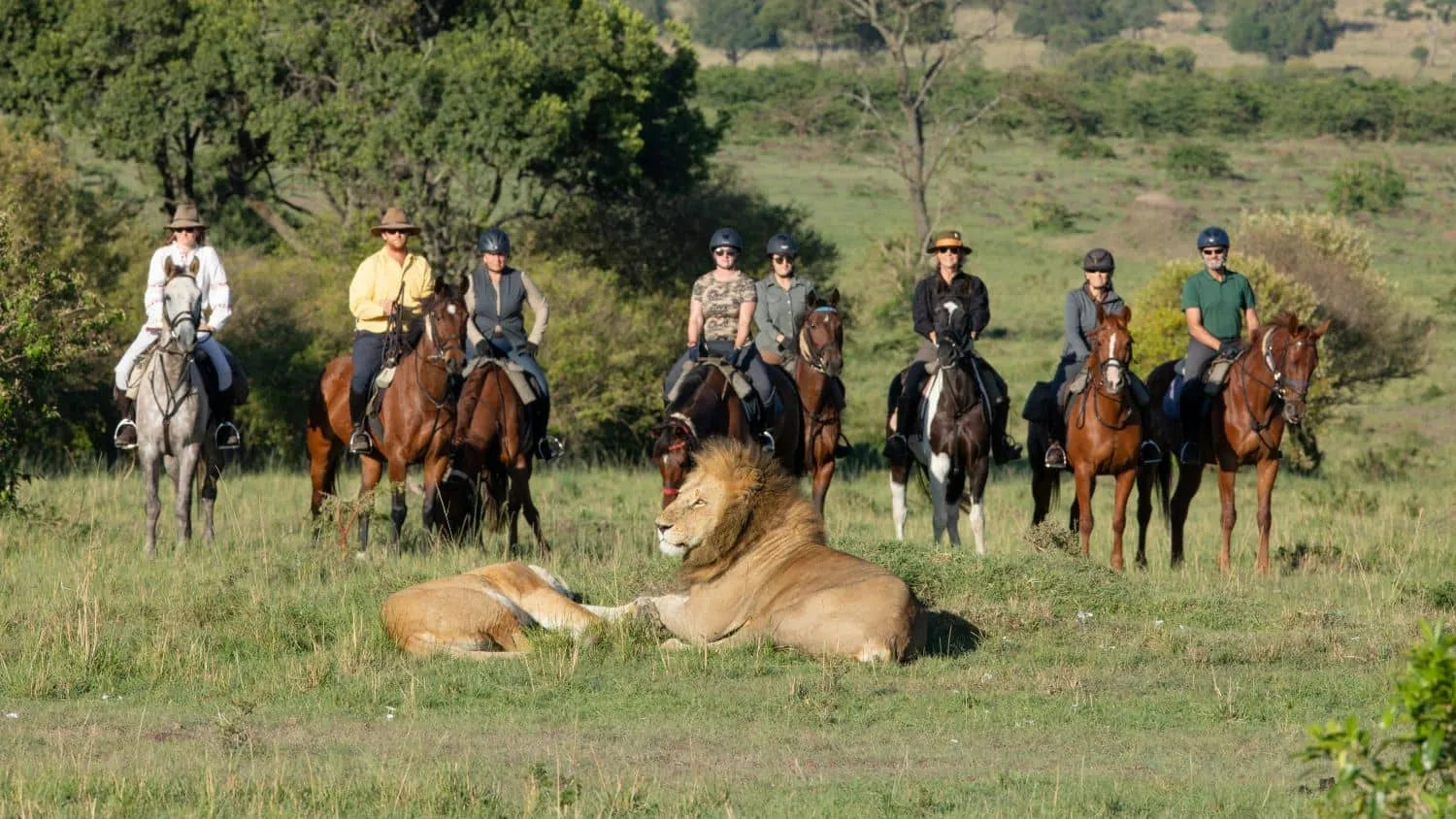 Africa's Big 5 Safari