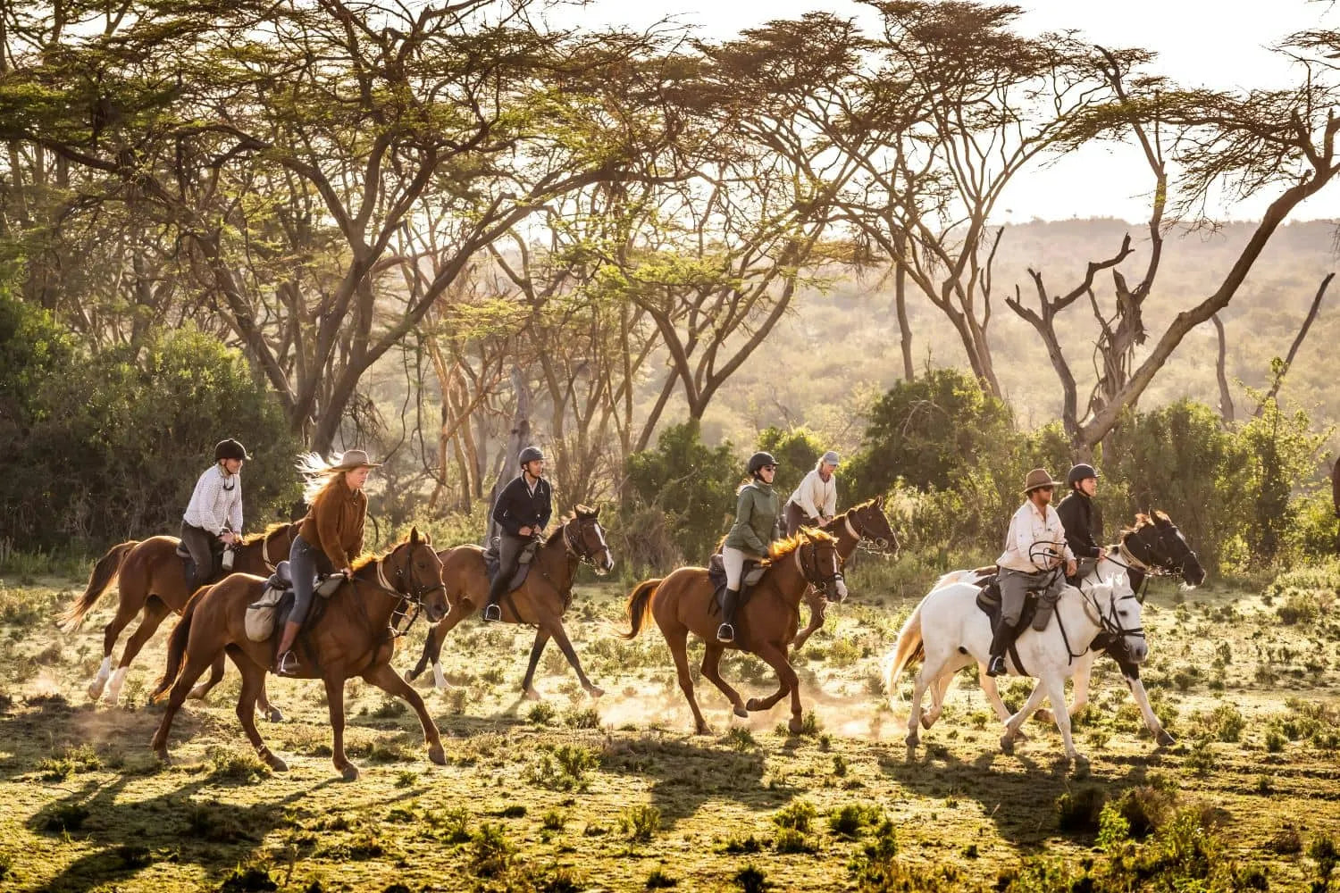 Africa's Big 5 Safari