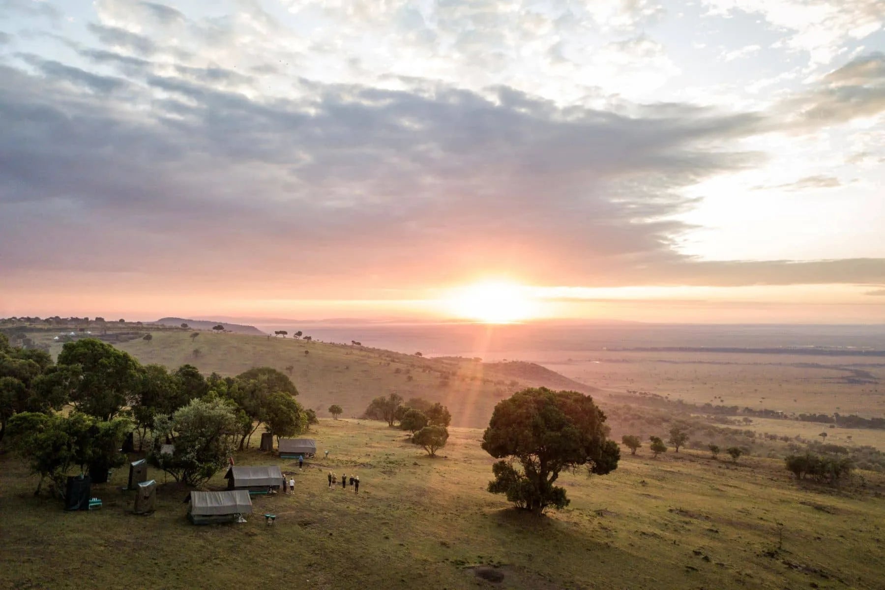 Africa's Big 5 Safari