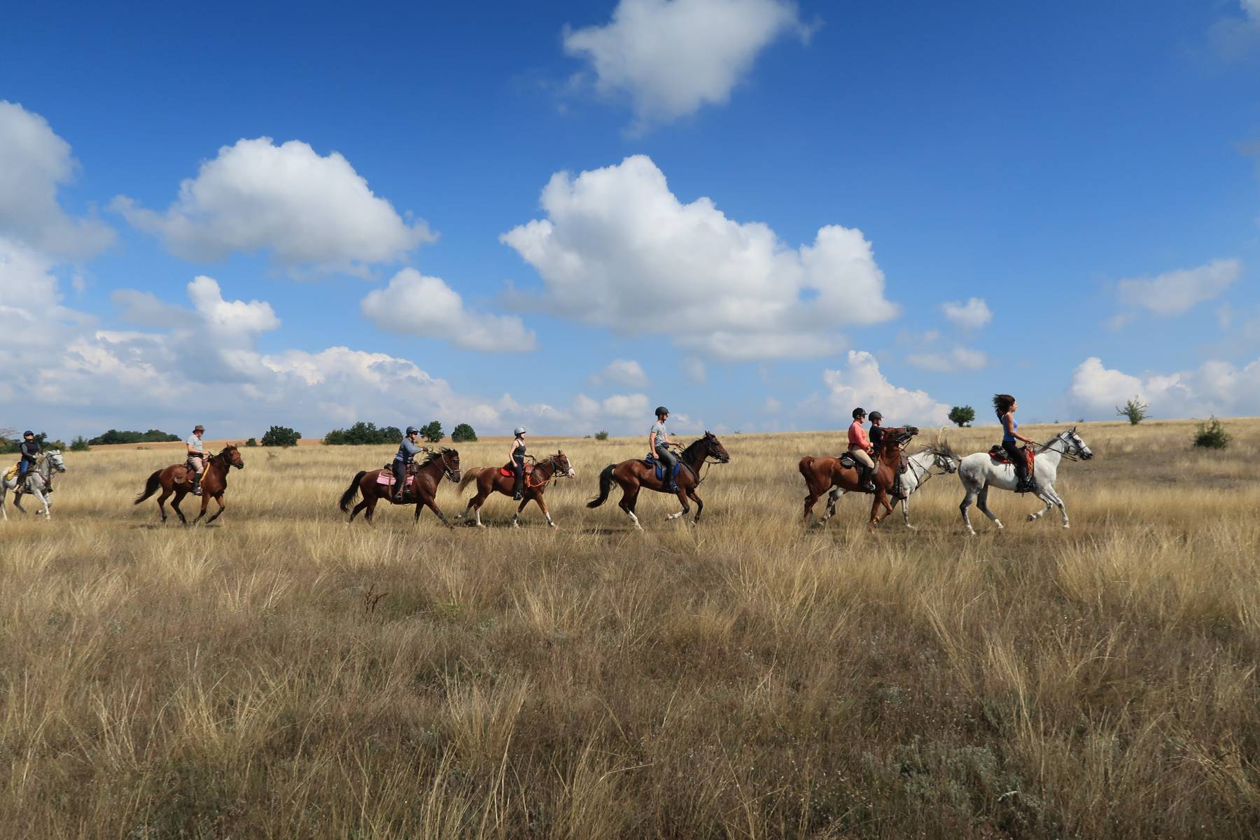 Magic Caves, Waterfalls & Castles - horseXperiences™ GO EQUESTRIAN