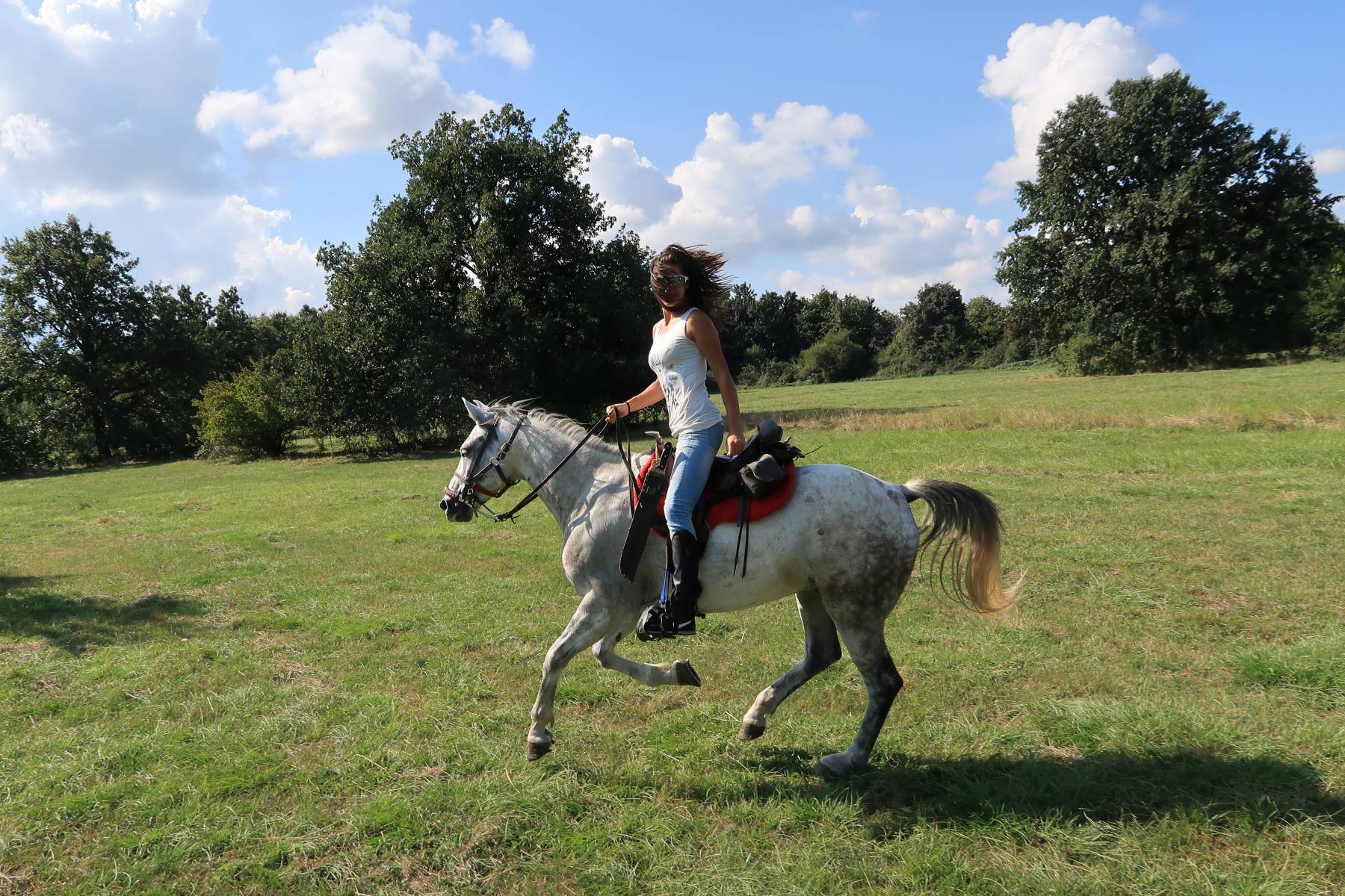 Magic Caves, Waterfalls & Castles - horseXperiences™ GO EQUESTRIAN