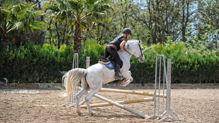 Spanish Dream - horseXperiences™ GO EQUESTRIAN