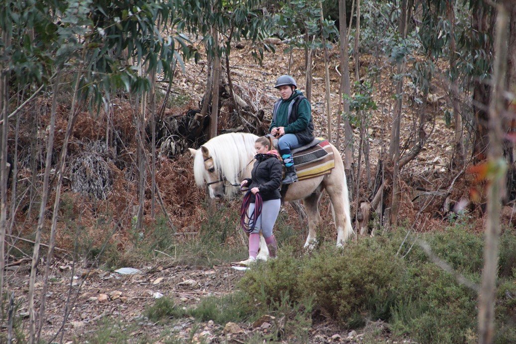 Porto Invictus Trails - horseXperiences™ GO EQUESTRIAN