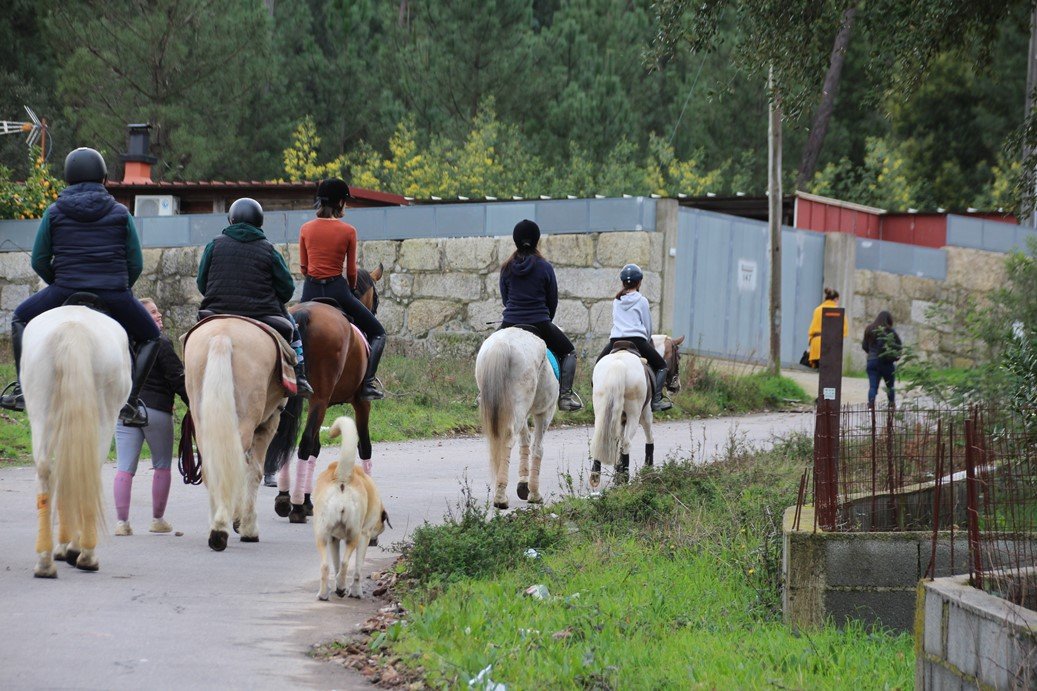 Porto Invictus Trails - horseXperiences™ GO EQUESTRIAN