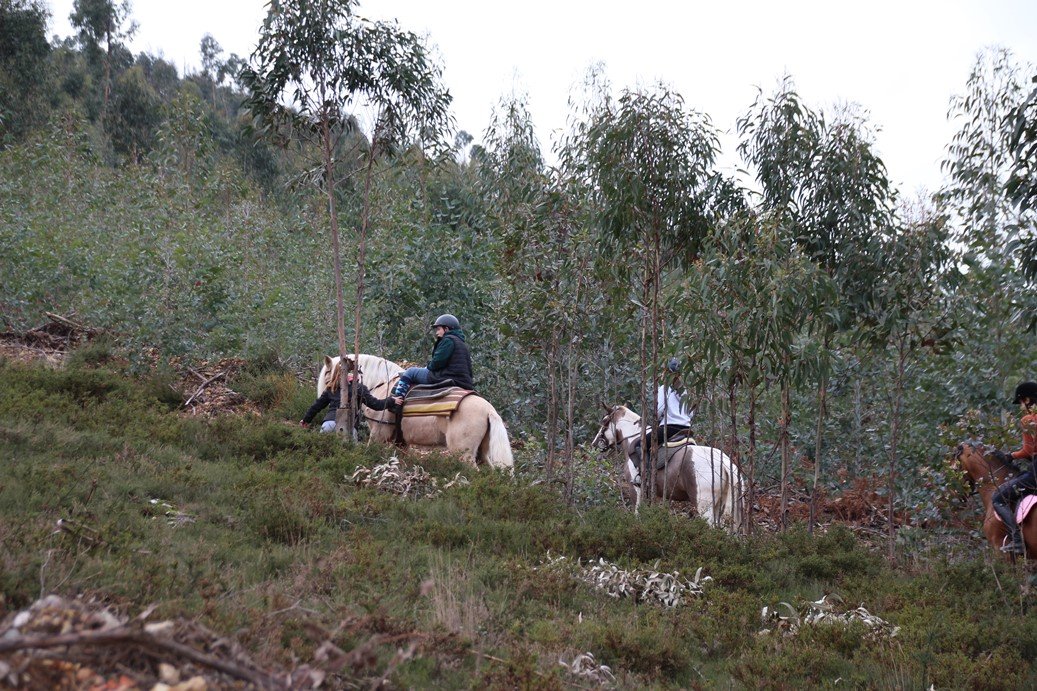 Porto Invictus Trails - horseXperiences™ GO EQUESTRIAN