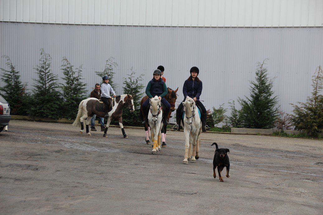 Porto Invictus Trails - horseXperiences™ GO EQUESTRIAN