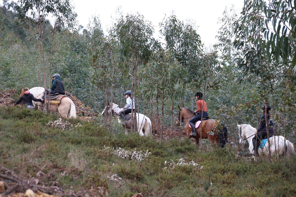 Porto Invictus Trails - horseXperiences™ GO EQUESTRIAN