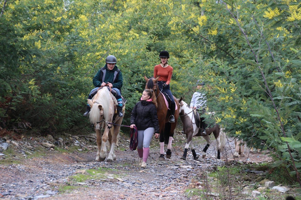 Porto Invictus Trails - horseXperiences™ GO EQUESTRIAN