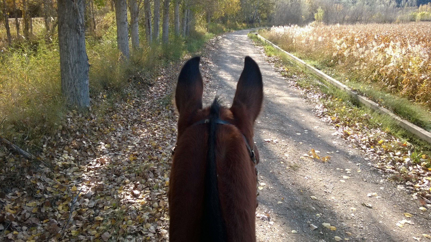 A Taste of Endurance - horseXperiences™ GO EQUESTRIAN