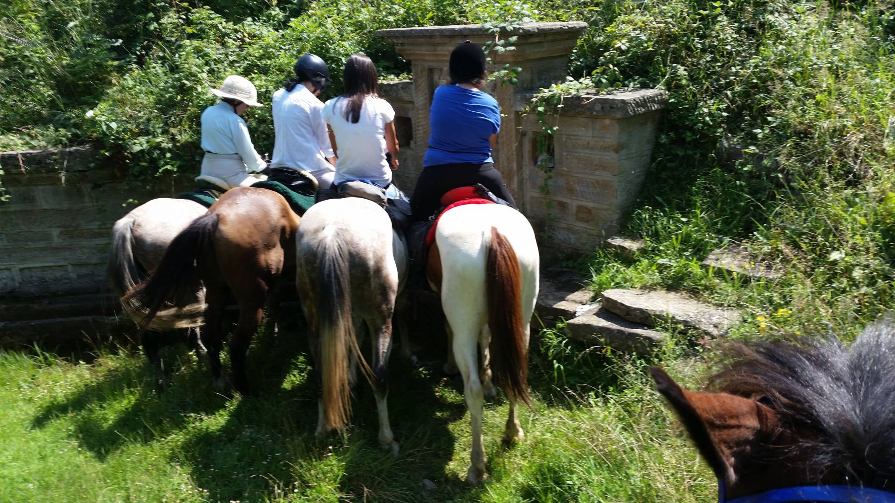 Magic Caves, Waterfalls & Castles - horseXperiences™ GO EQUESTRIAN