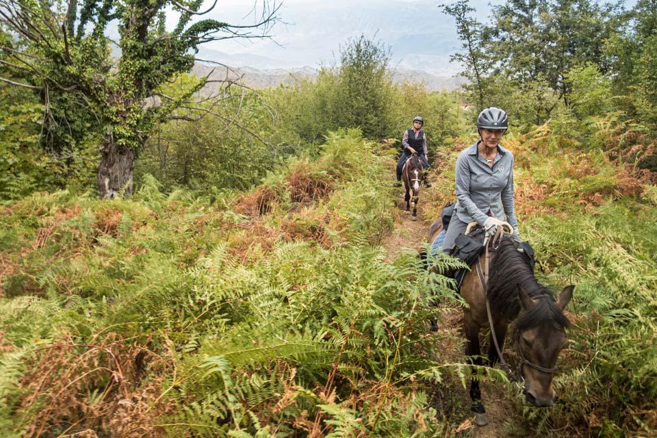 King Skerdilajdi's Army Route - horseXperiences™ GO EQUESTRIAN