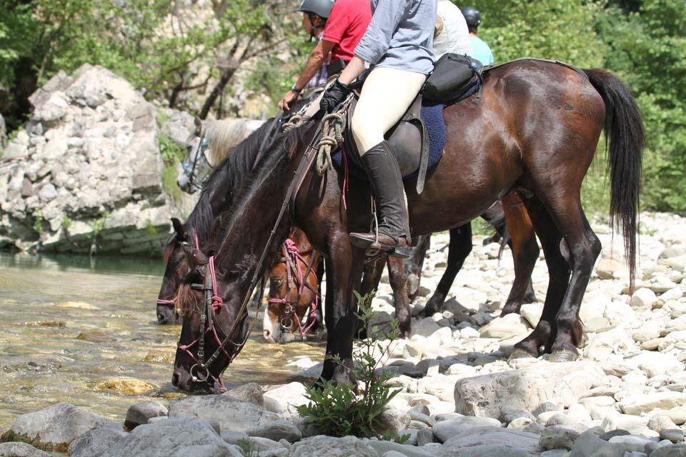 Following Zagoria Pathways - horseXperiences™ GO EQUESTRIAN
