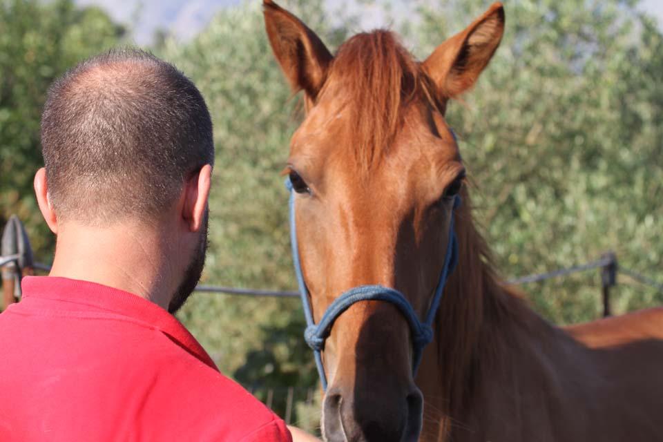 Following Zagoria Pathways - horseXperiences™ GO EQUESTRIAN