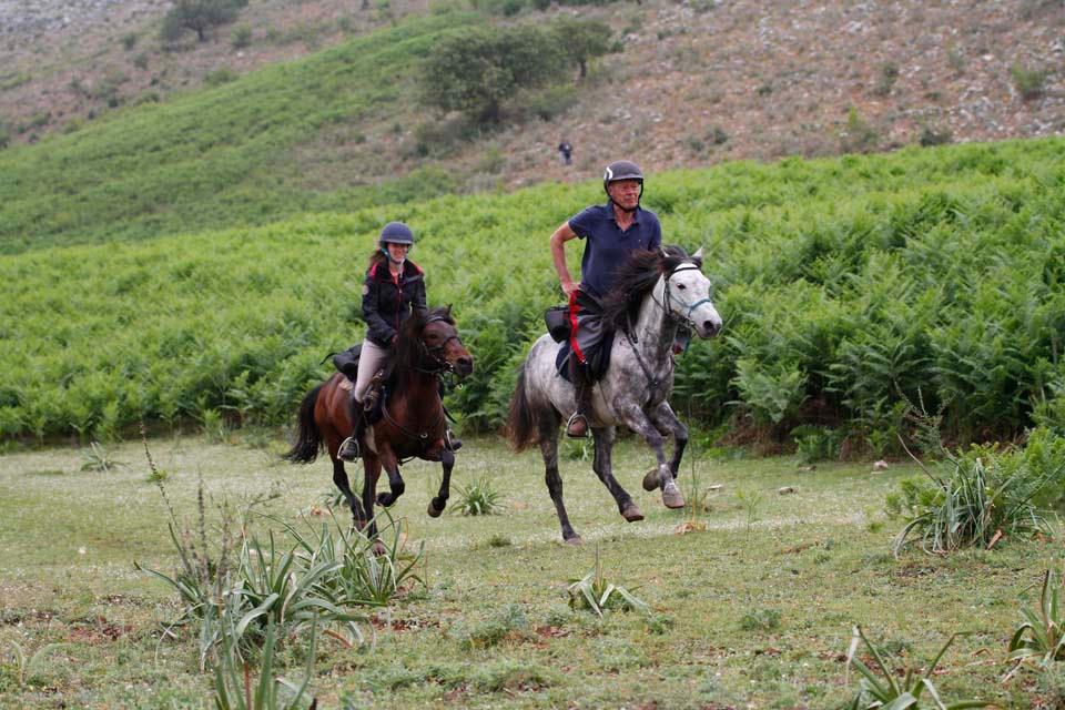 King Skerdilajdi's Army Route - horseXperiences™ GO EQUESTRIAN