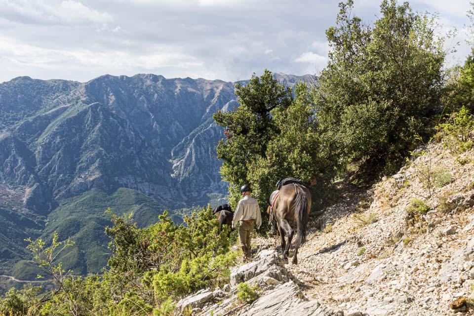 King Skerdilajdi's Army Route - horseXperiences™ GO EQUESTRIAN
