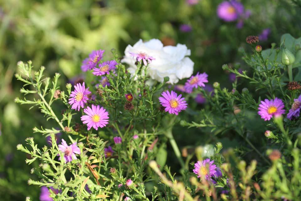 Following Zagoria Pathways - horseXperiences™ GO EQUESTRIAN