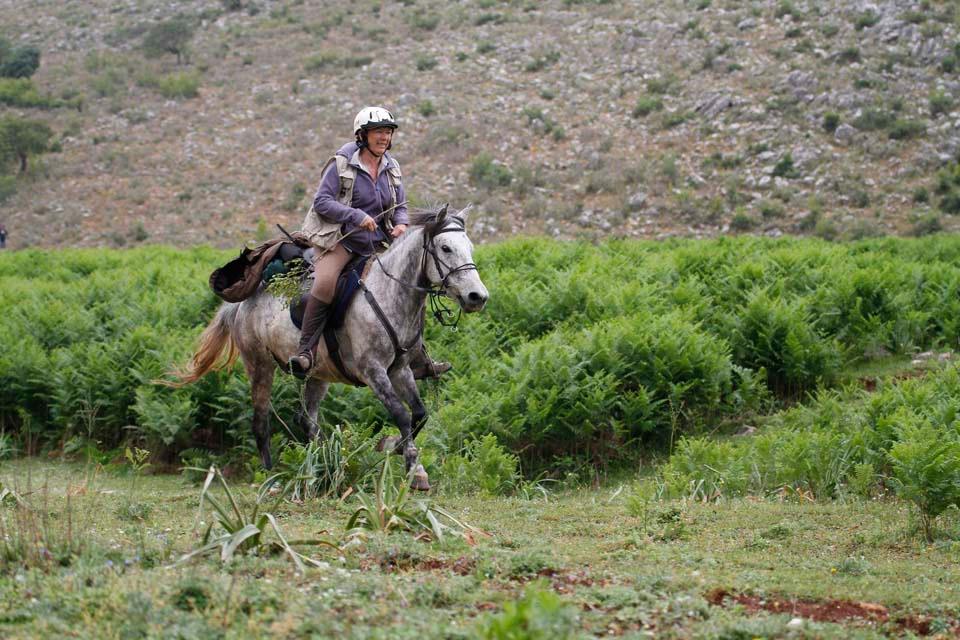 King Skerdilajdi's Army Route - horseXperiences™ GO EQUESTRIAN