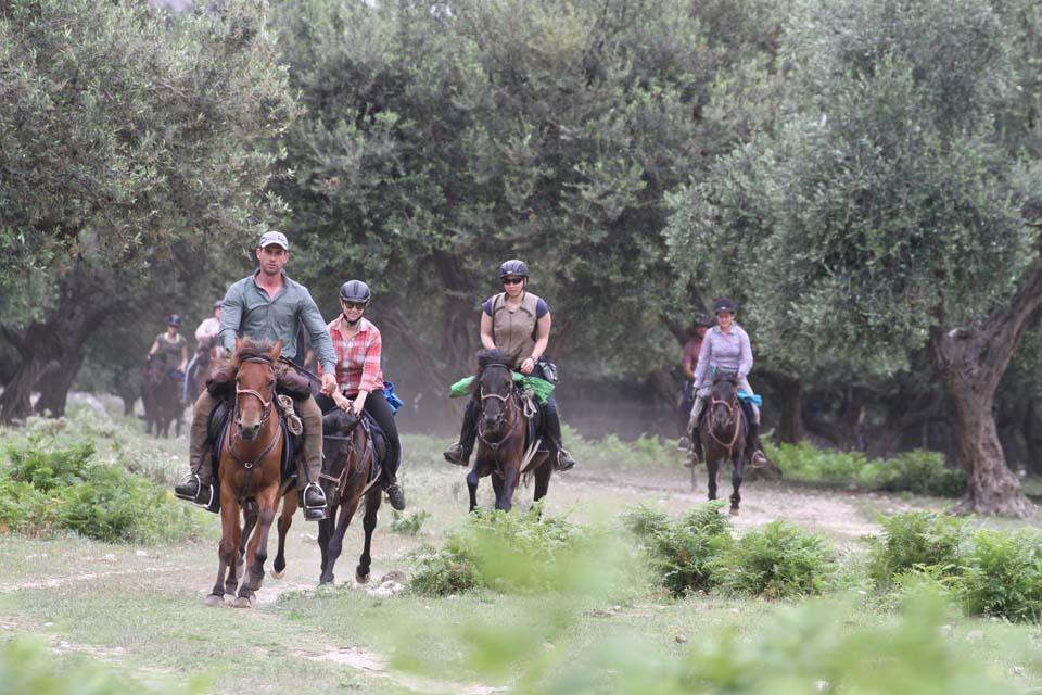 King Skerdilajdi's Army Route - horseXperiences™ GO EQUESTRIAN