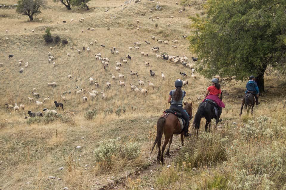 King Skerdilajdi's Army Route - horseXperiences™ GO EQUESTRIAN