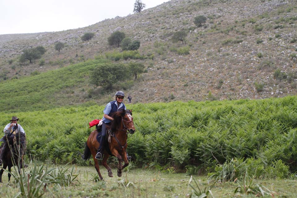 King Skerdilajdi's Army Route