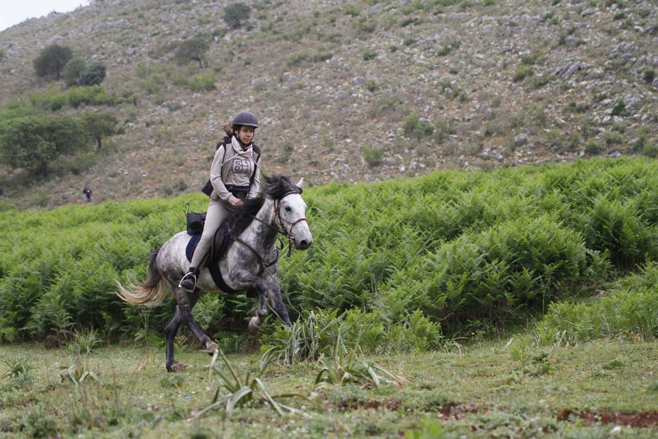 King Skerdilajdi's Army Route