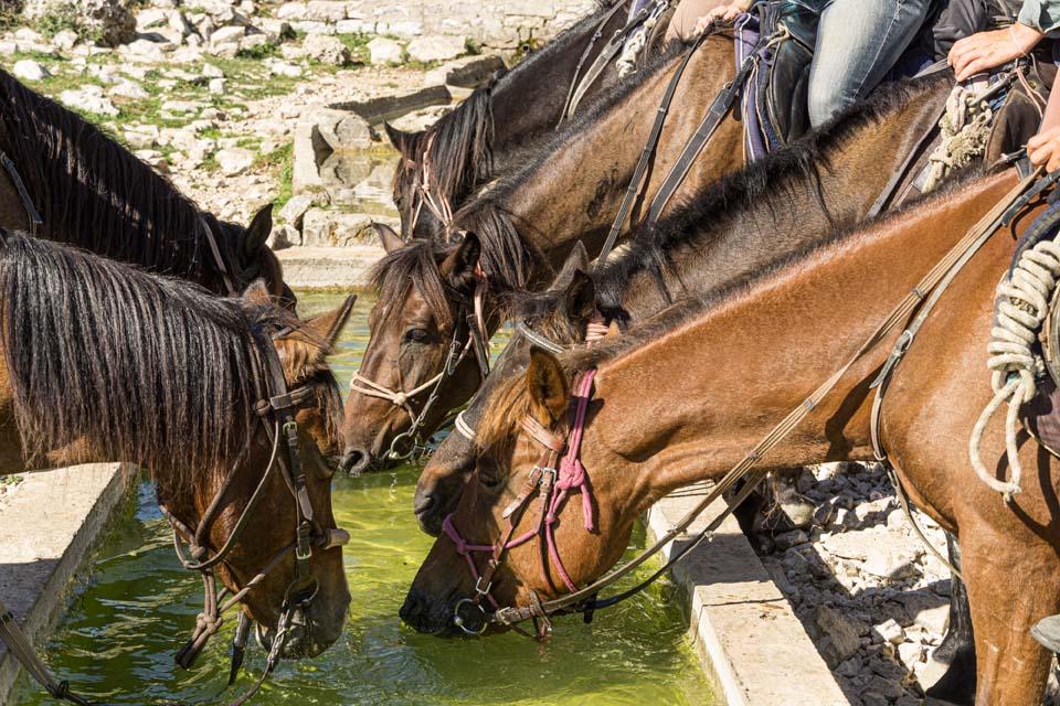 King Skerdilajdi's Army Route - horseXperiences™ GO EQUESTRIAN