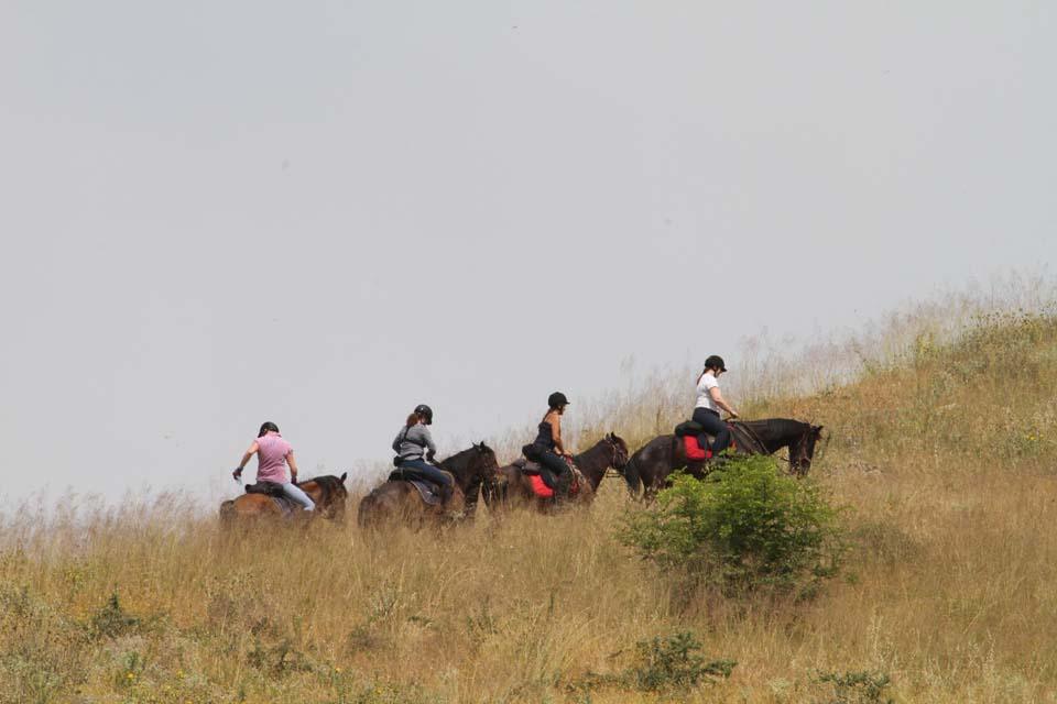 Following Zagoria Pathways - horseXperiences™ GO EQUESTRIAN