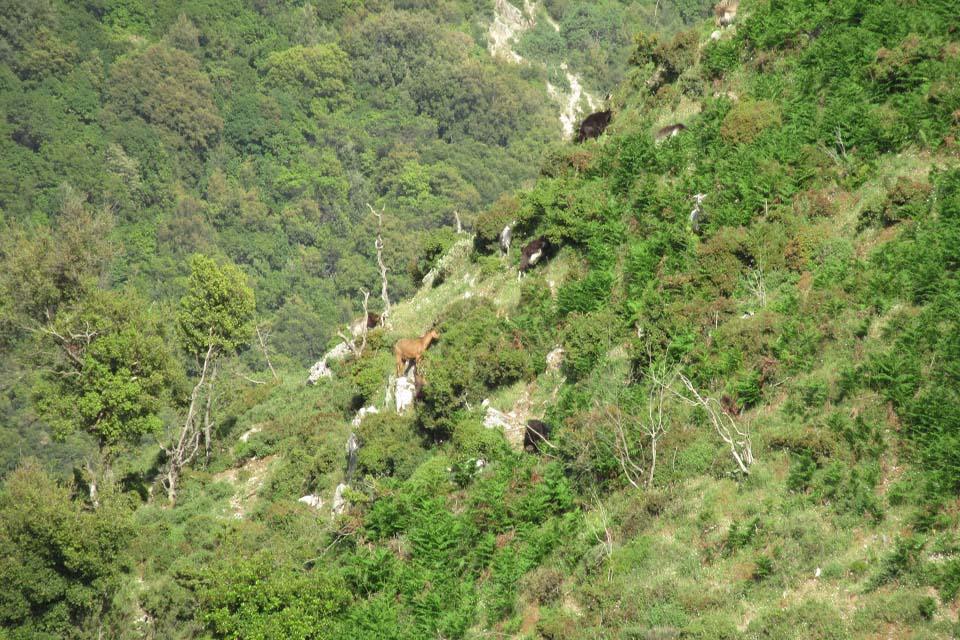 King Skerdilajdi's Army Route - horseXperiences™ GO EQUESTRIAN