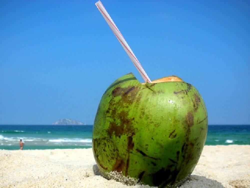 Coconut Trail Ride - horseXperiences™ GO EQUESTRIAN