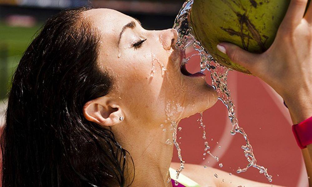 Coconut Trail Ride - horseXperiences™ GO EQUESTRIAN