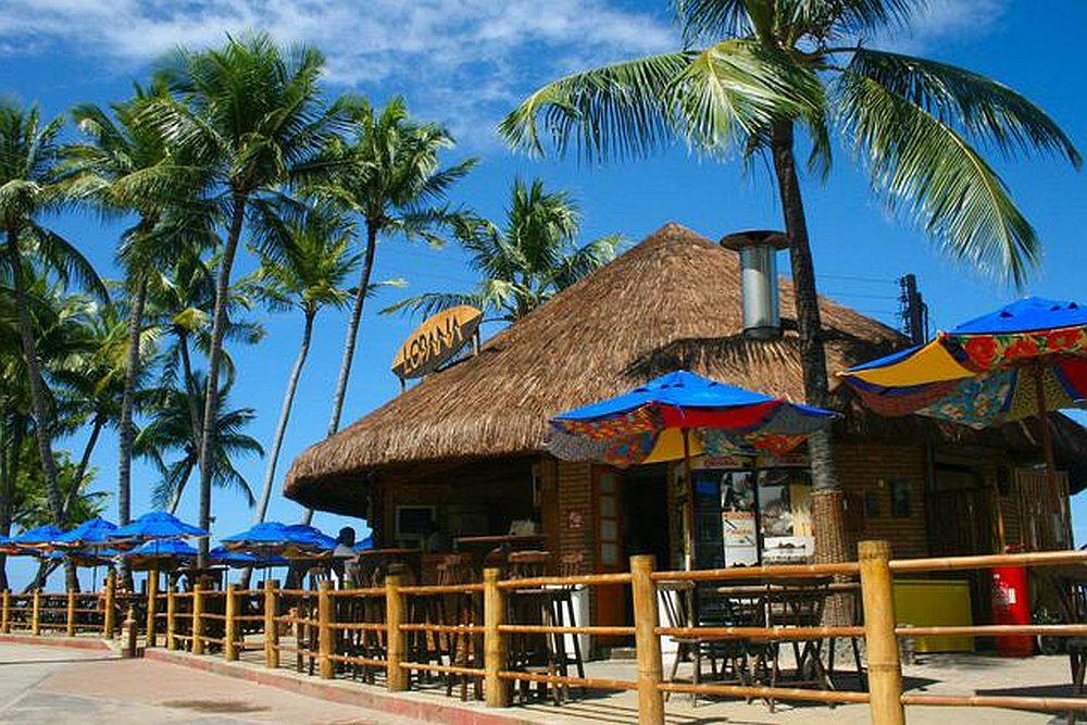 Coconut Trail Ride - horseXperiences™ GO EQUESTRIAN