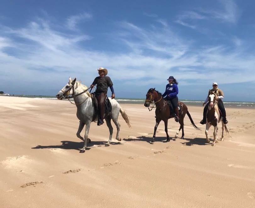 Coconut Trail Ride - horseXperiences™ GO EQUESTRIAN