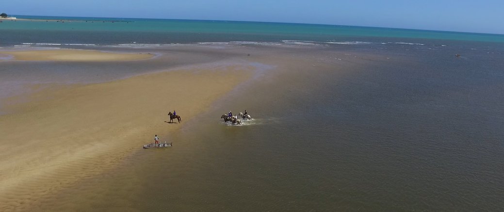 Coconut Trail Ride - horseXperiences™ GO EQUESTRIAN