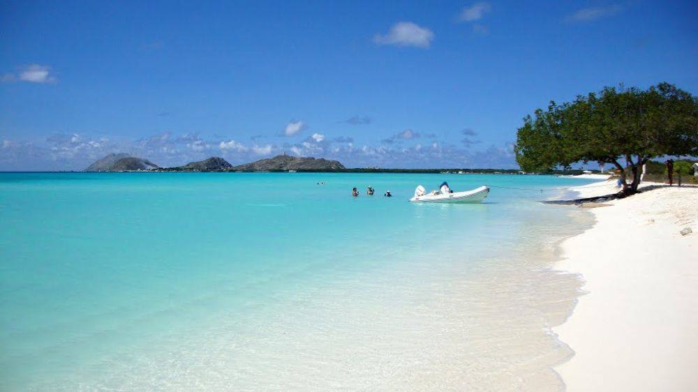 Coconut Trail Ride - horseXperiences™ GO EQUESTRIAN